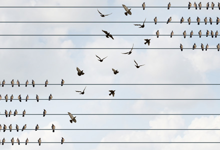 Birds on a wire moving from one formation to another