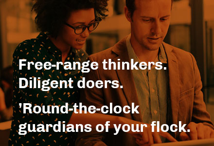Image of two professionals consulting, black and white image with an orange overlay. Text reading: "Free-range thinkers. Diligent doers. 'Round-the-clock guardians of your flock."